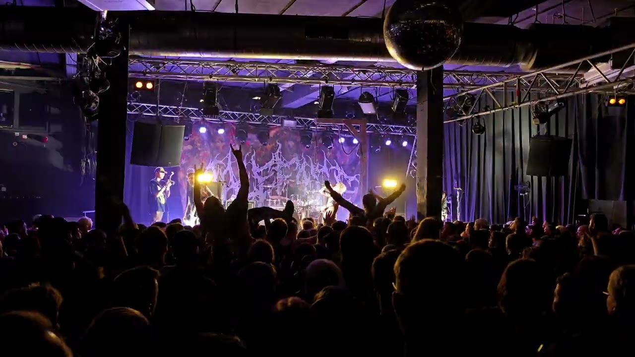 PALEFACE SWISS - NAIL TO THE TOOTH (Live in Hannover, Kulturzentrum Faust 22.02.2025 - 4K)