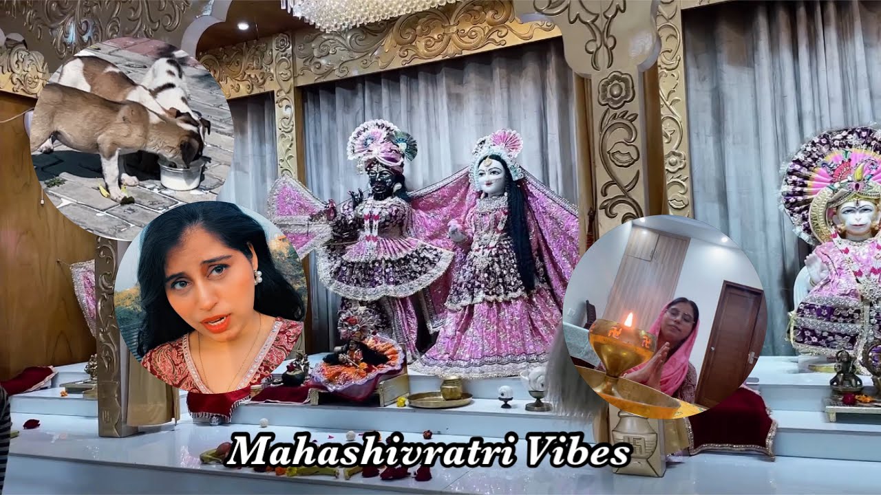 Mahashivratri Vlog | A Peaceful & Devotional Day in My Life | Feeding Dogs & Temple Visit 