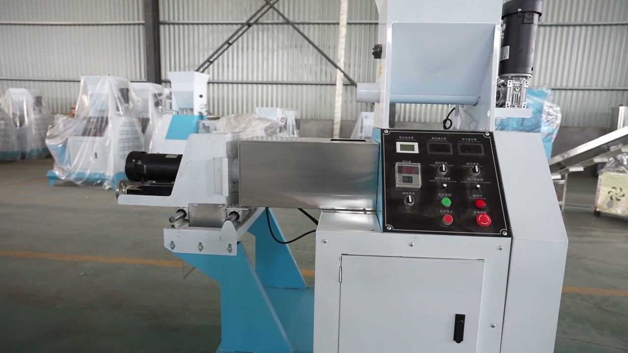 Floating Feed Pelletizer Machine Fish Extrudeuse Pour Aliment Poisson Extruder for Fish Food