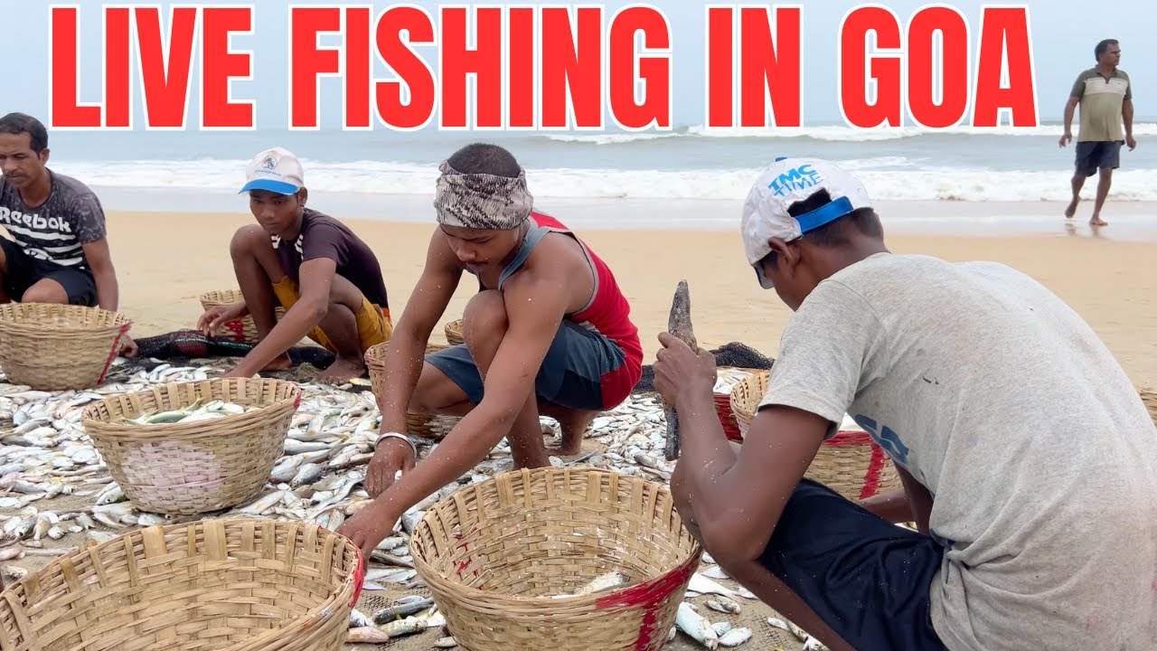 Fishing in South Goa Beach| Benaulim Beach South Goa|Goa Beach