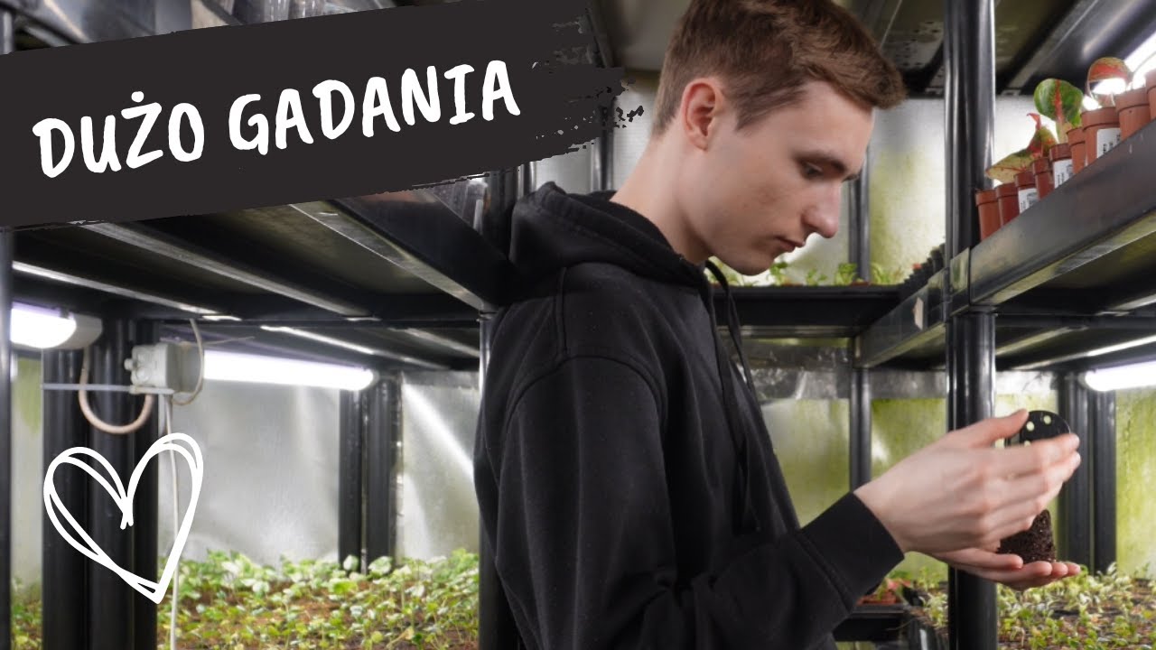 Sporo gadania | Co było i będzie? | Co mnie trapi?