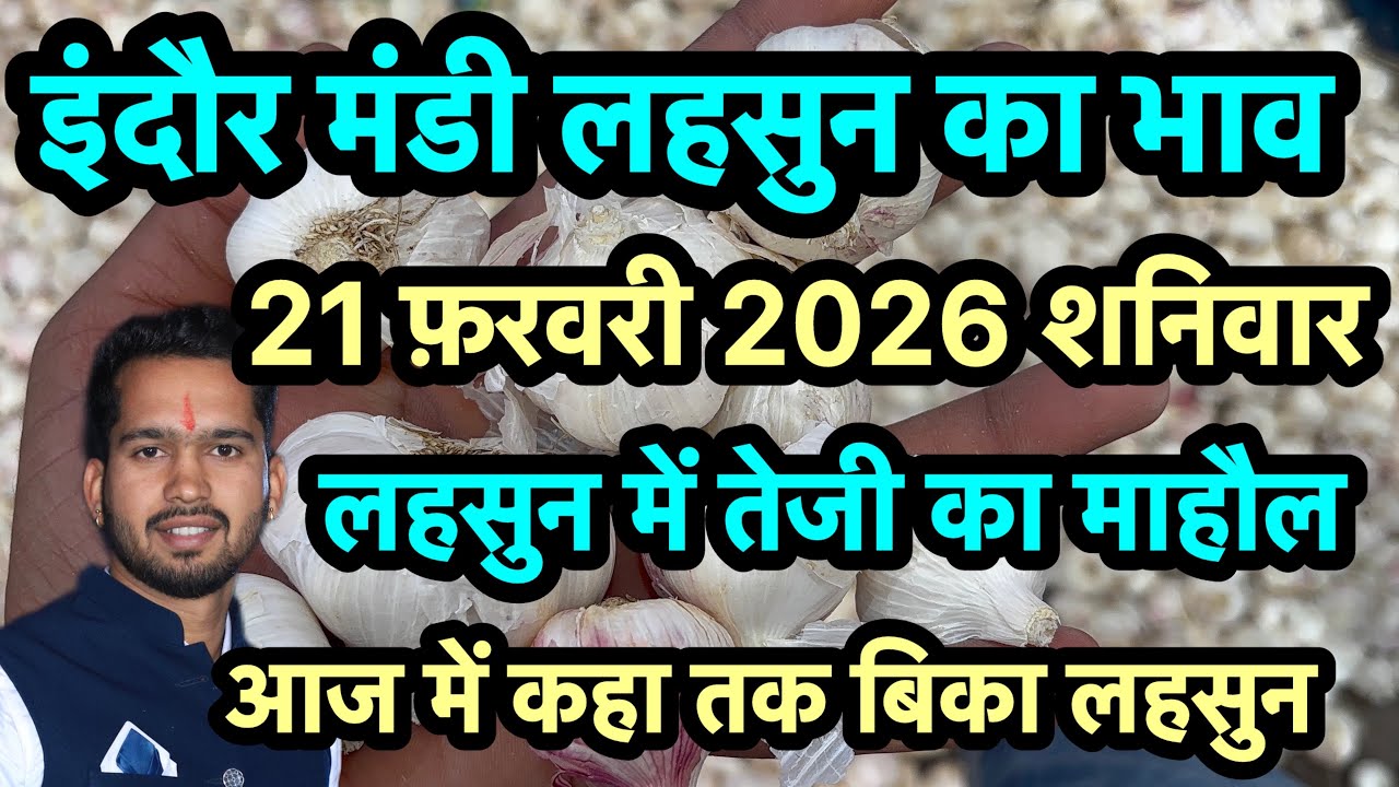 21 February 2026 indore Mandi lahsun ka bhav 