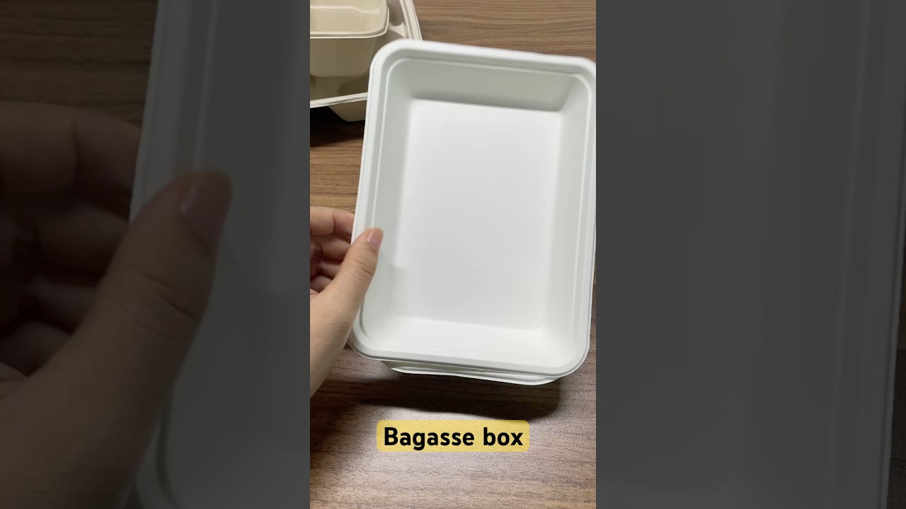 Food Tray PFAS Free Disposable Paper Plates Bagasse Sugarcane Eco-Friendly Plant Fiber #bagasseplate