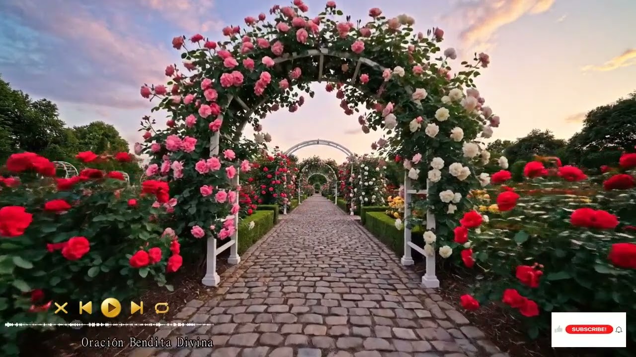 Whispers Of Grace Gentle Harp And Violin For Prayer, Healing, And Sacred Reflection