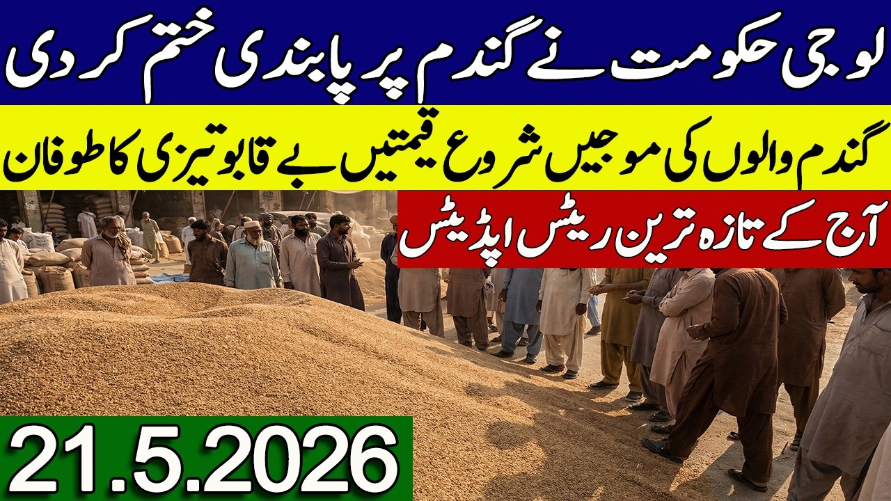 New Gandum Rates Today 2026 || New Wheat Price Today || Gundam kay Rates Today 2026