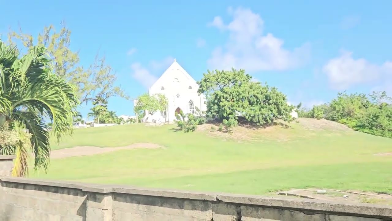 Culpepper & St. Catherine In St. Philip Barbados 🇧🇧 