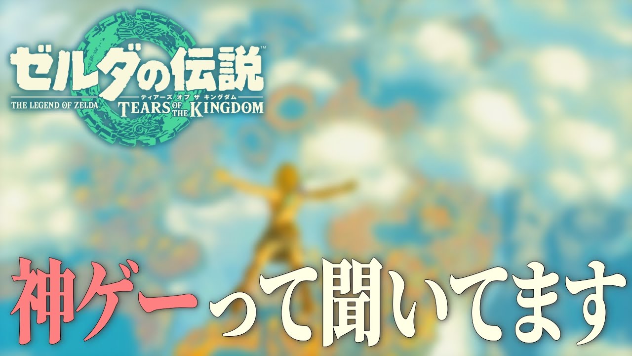 【ティアキン】吐くほど面白いらしい 【ゼルダの伝説】