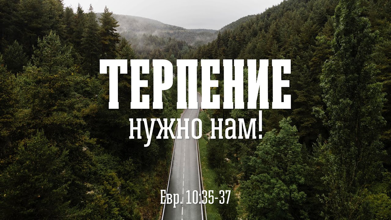 Терпение нужно нам! | Олег Сокиряка
