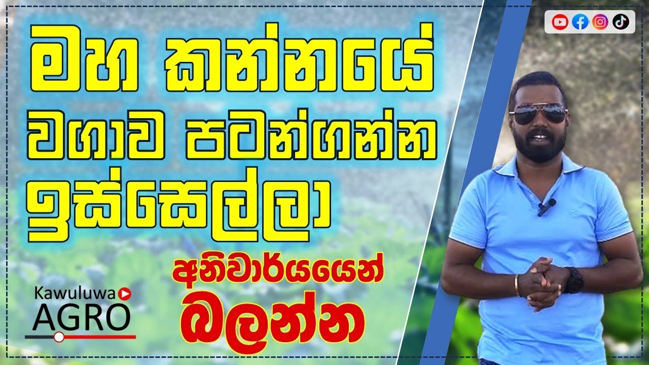 මහ කන්නයේ වගාවන් ආරම්භයට පෙර මේක බලන්න...! Watch this before starting your Maha season cultivation.