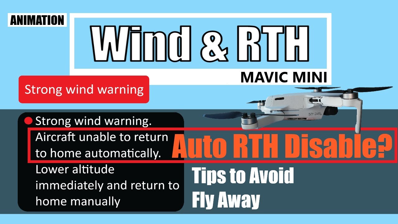 DJI Mavic Mini Wind Tips & Theory to Stop Flyaway