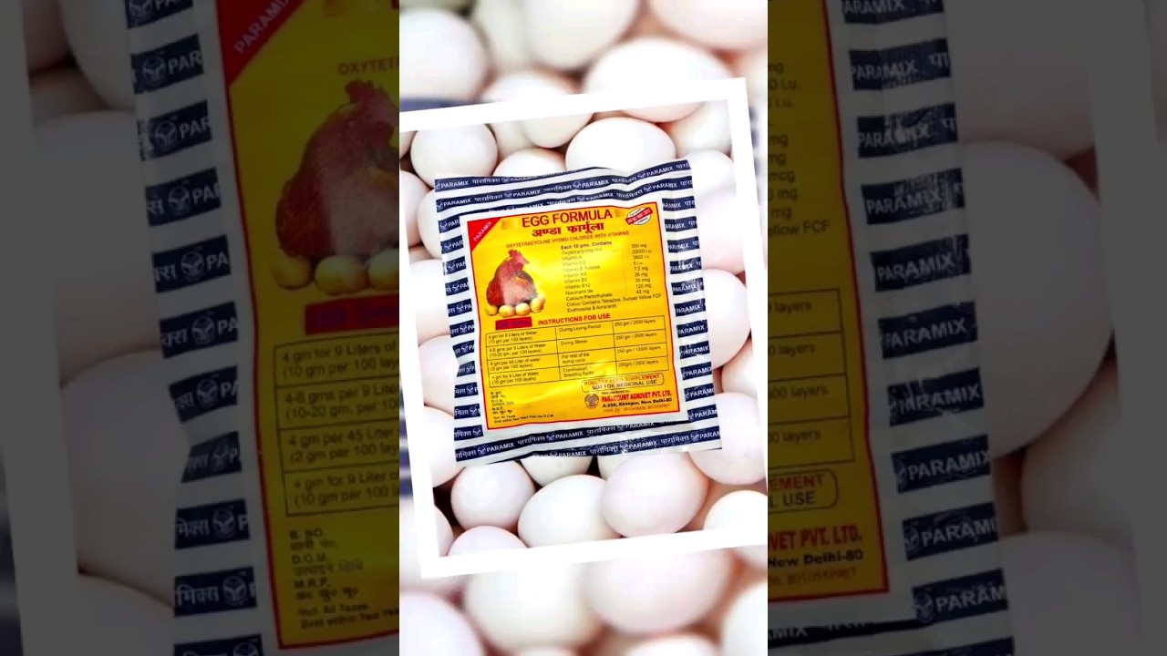 #eggformula #poultry #egg #birdcare #birdsupplements #pigeon #pigeons #kabutar #eggbreakage #pigeon
