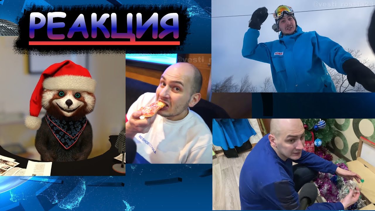 Россия23 (25,26,27) | реакция Red Panda | @vesti_rossia23