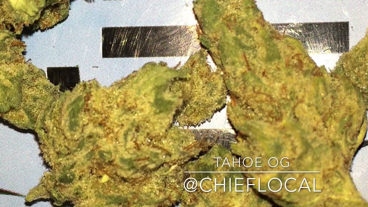 Tahoe OG Strain Review