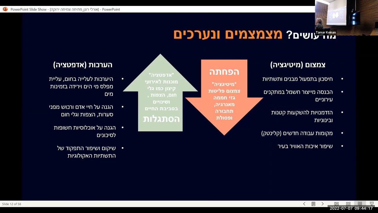צמצום פחמן וצמיחה ירוקה - ד