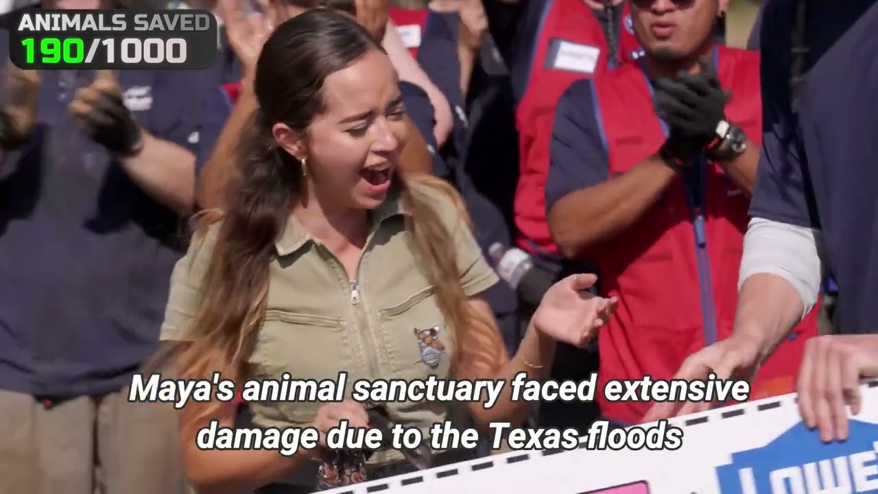 #8 Heartwarming $50K Donation Revives Flood Damaged Wolf Sanctuary