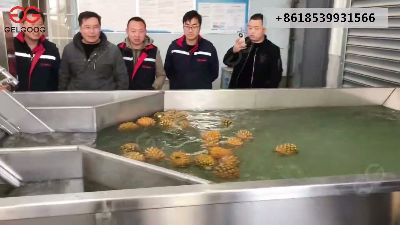 Pineapple Washing Processing Machines