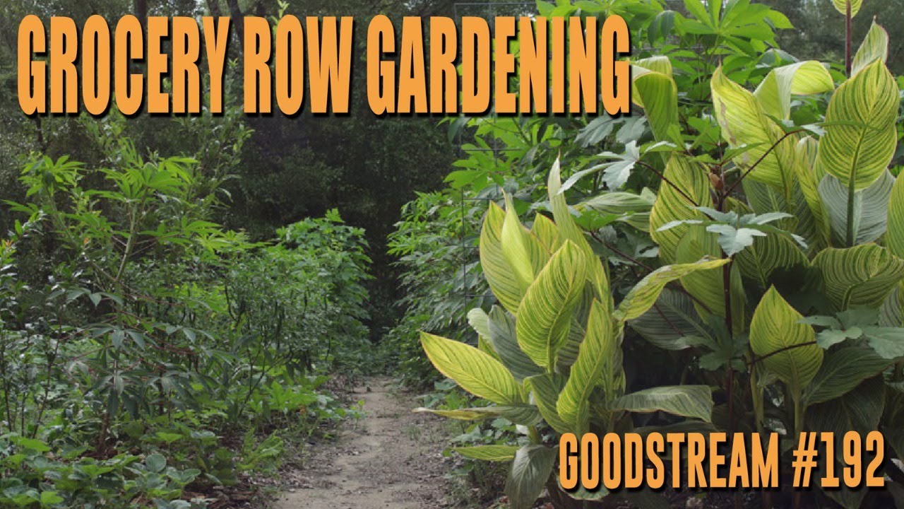 Grocery Row Gardening (Goodstream #192)
