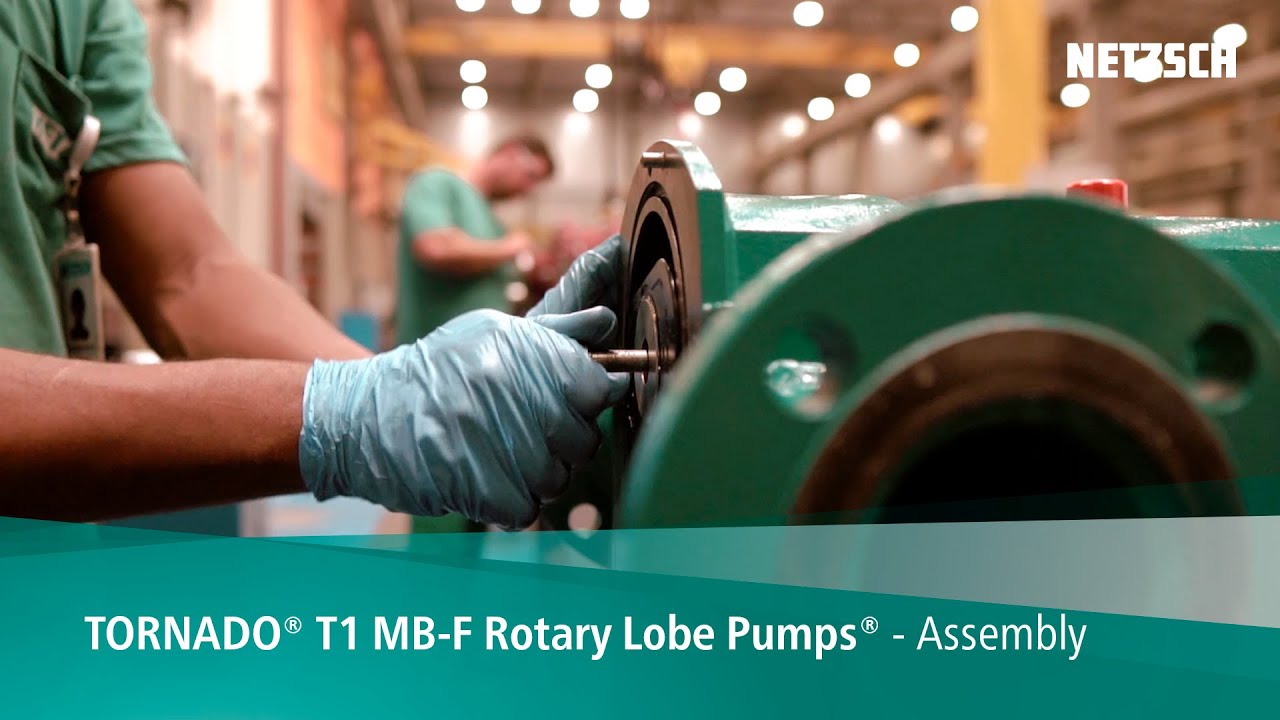 Assembly TORNADO® T1 MB-F Rotary Lobe Pumps