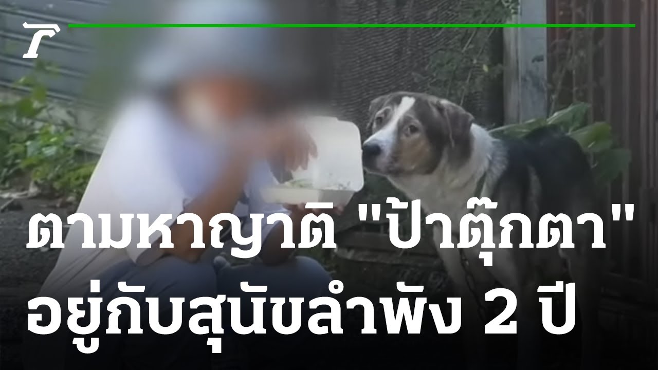 ตามหาญาติ 