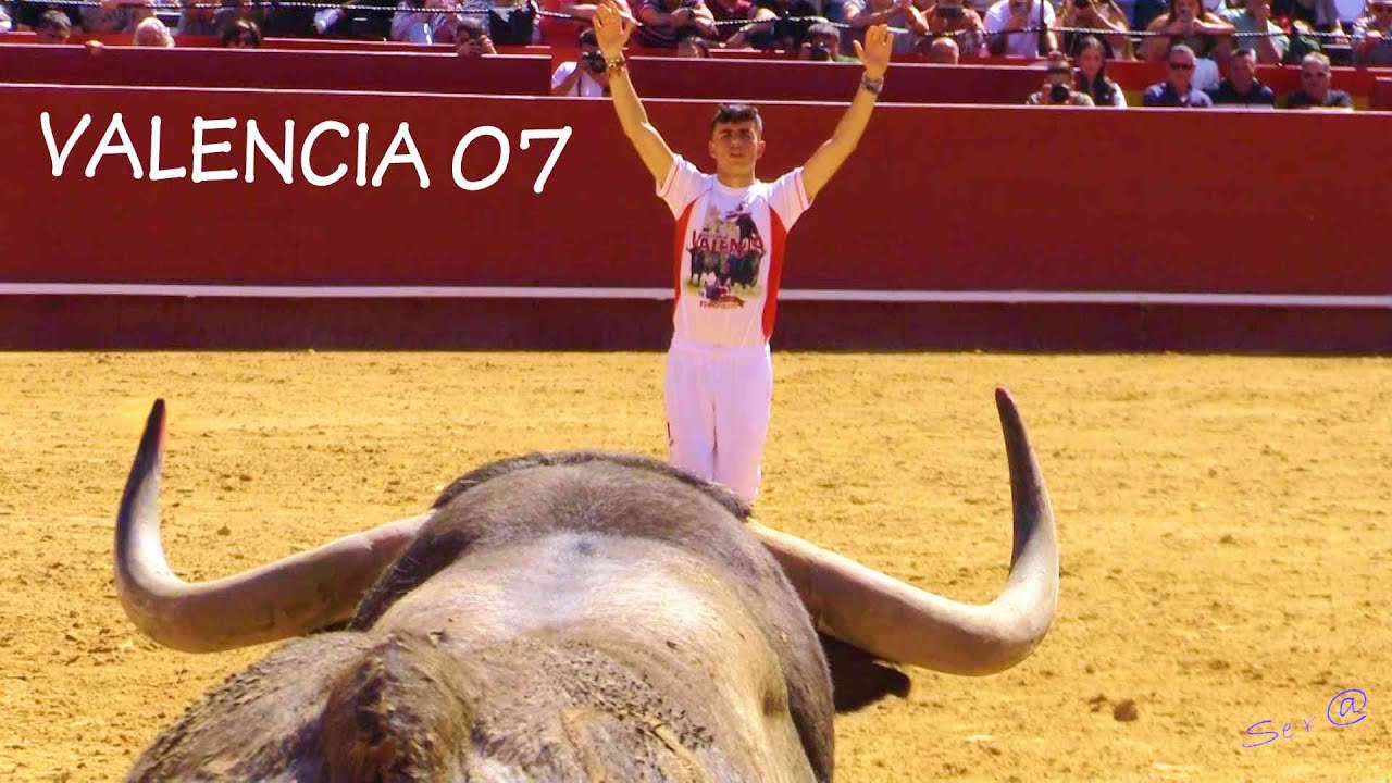 VALENCIA  FALLAS 07 INEGRO XXVII Campeonato Nacional de Recortes