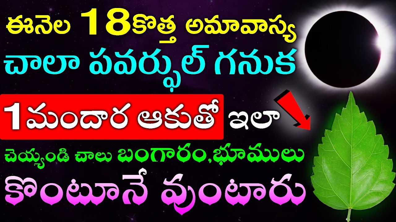 ఈనెల 18కొత్త అమావాస్య చాలా పవర్ఫుల్ గనుక మందార ఆకుతో ఇలా చెయ్యండి చాలు బంగారం,భూములు కొంటూనే వుంటారు