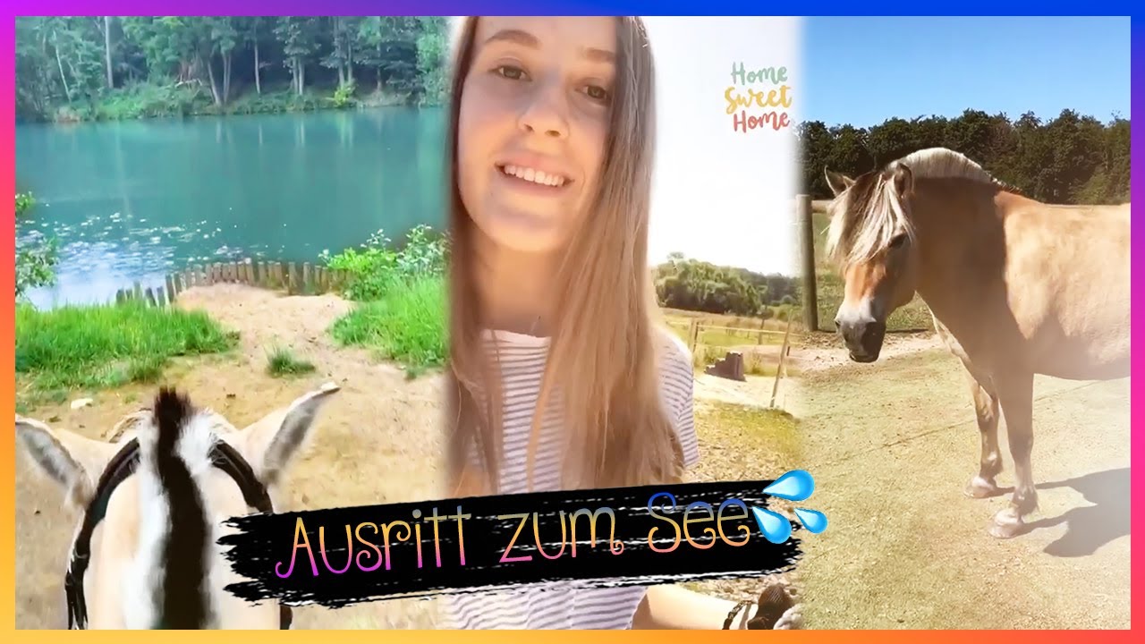 WIEDERVEREINT mit Tiffy 😍 Zum See reiten (Trab-Übungen) | Storys auf Fjordis