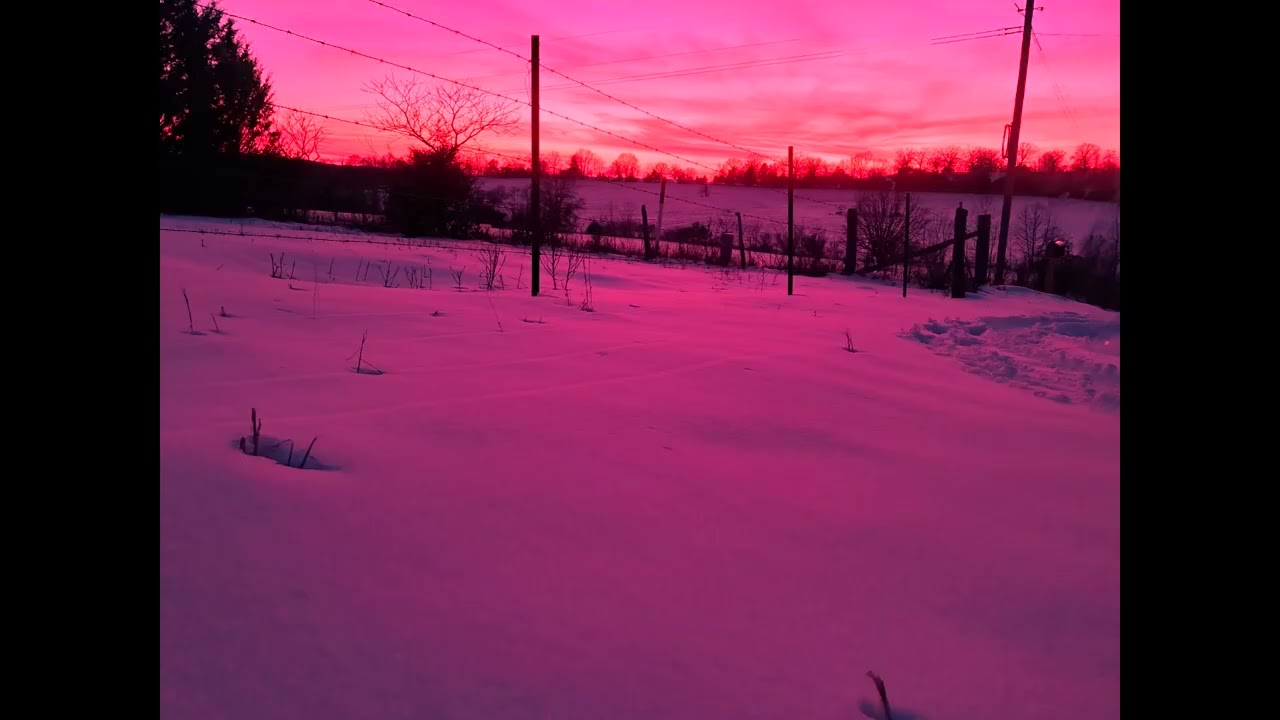 Week 6 #winterweeklyphotochallenge