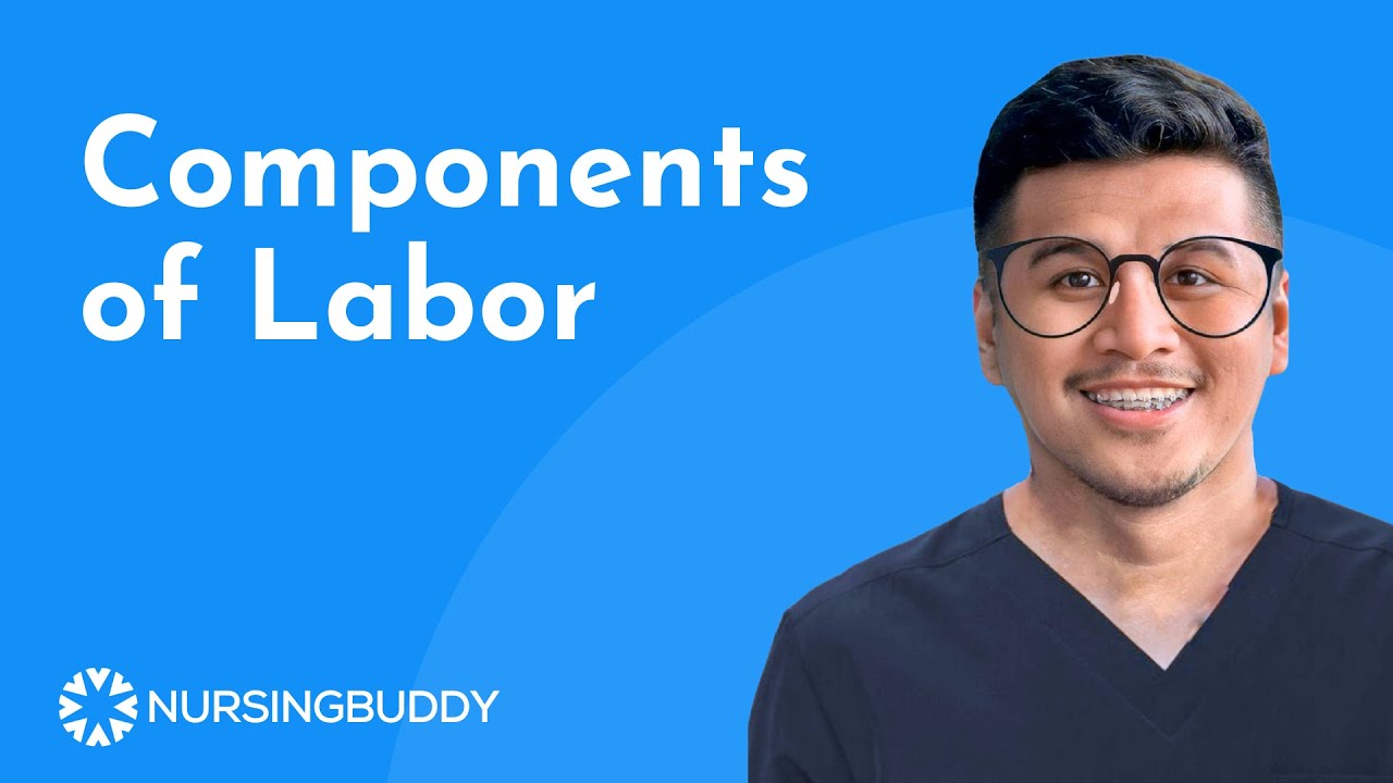 [NURSING REVIEW] Maternal and Child Health Nursing - Components of Labor by Jhunlie Escala