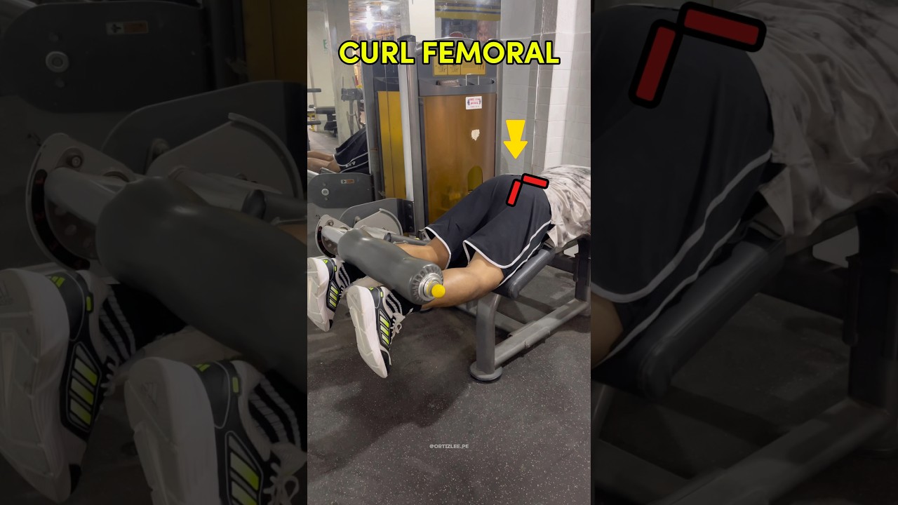 GUIA PARA CURL FEMORAL ✅ #gymtips #isquiotibiales #femorales #gluteos #legday #gymgirl #gymrat #gym