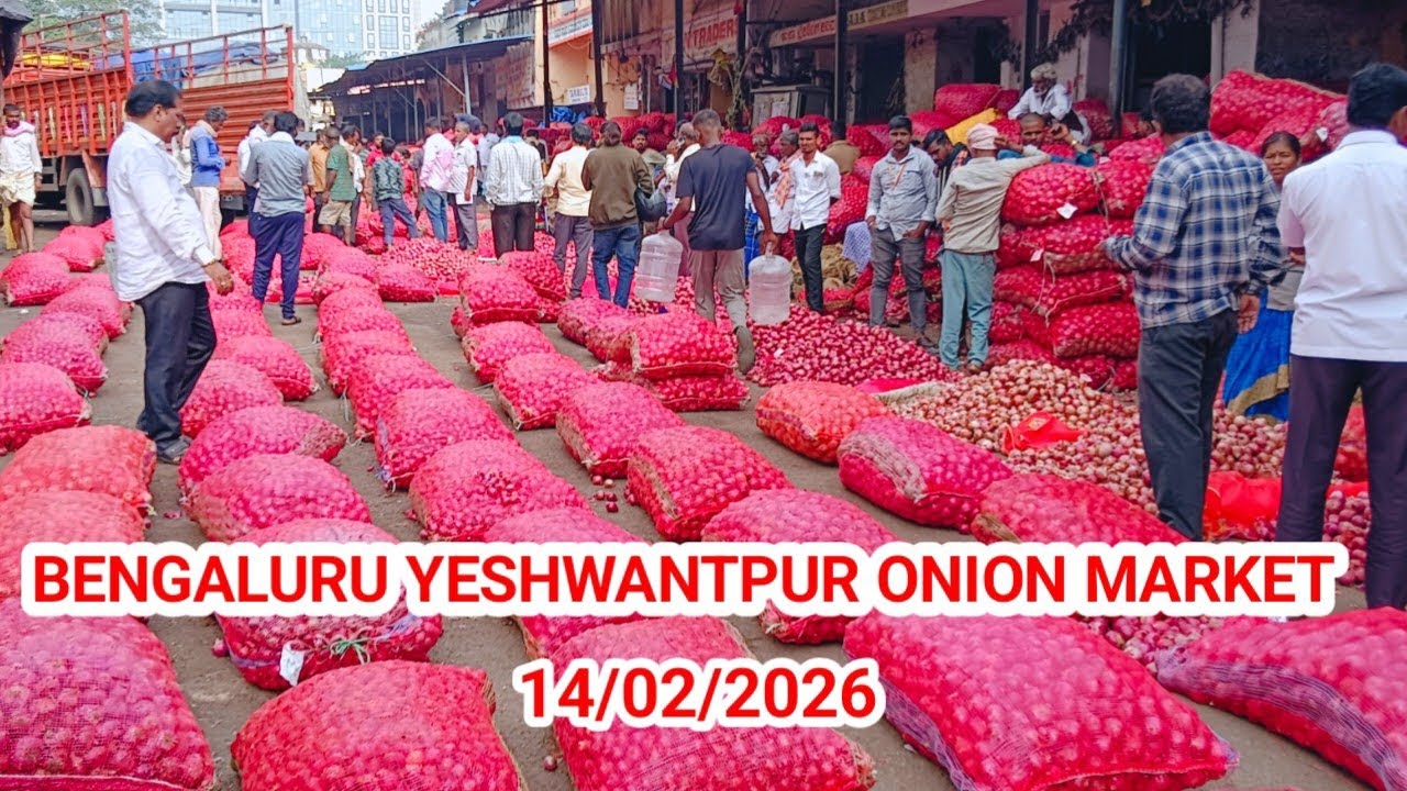 63,064 Bags Arrived in Mandi— Will Prices Rise or Fall? Latest Market Update 📊 || Bengaluru Mandi ||