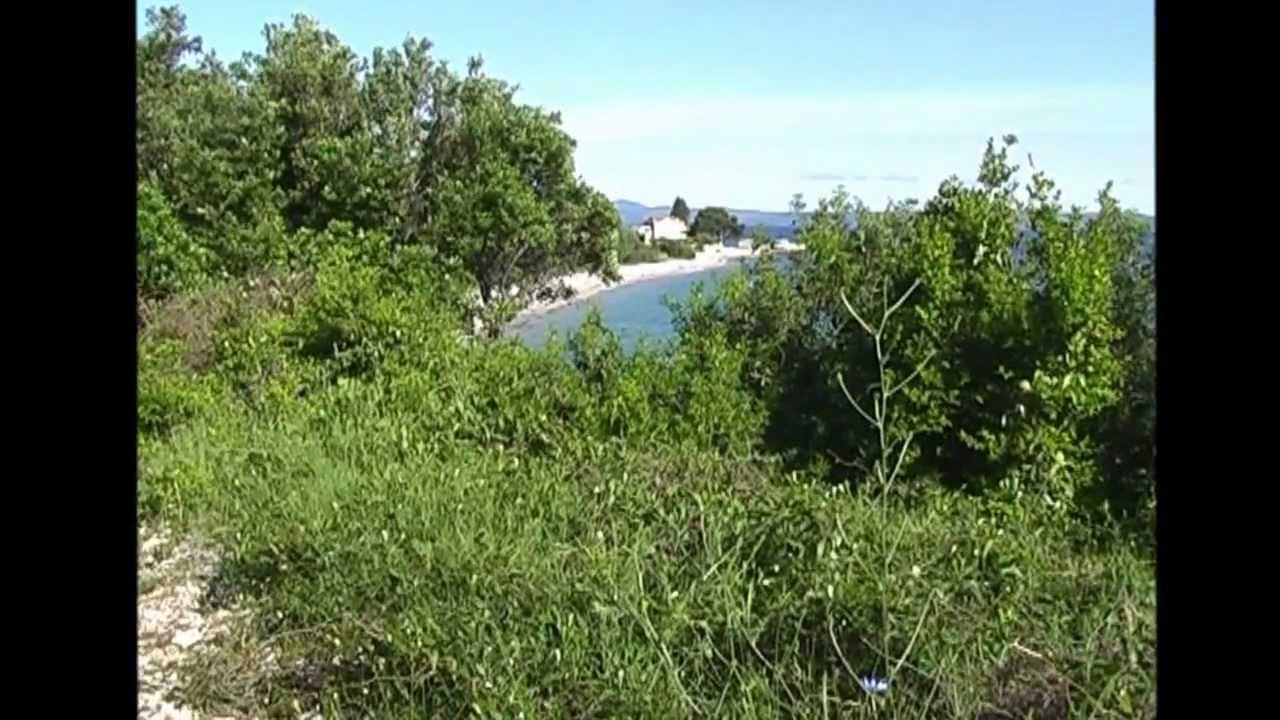 Duba Pelješka