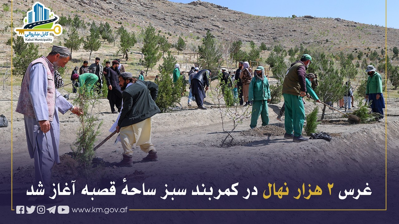 غرس ۲ هزار نهال در کمربند سبز ساحهٔ قصبه آغاز شد