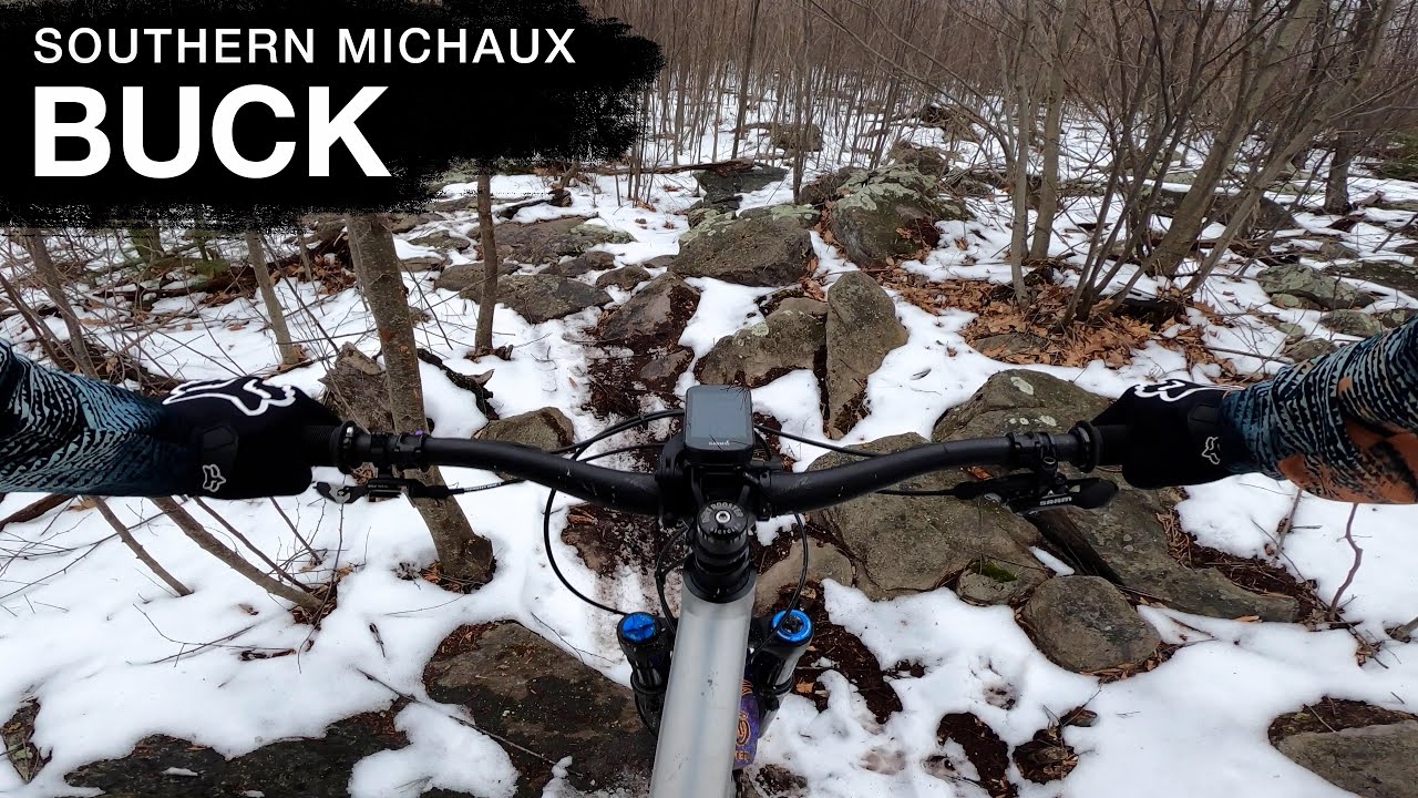 Buck | Southern Michaux