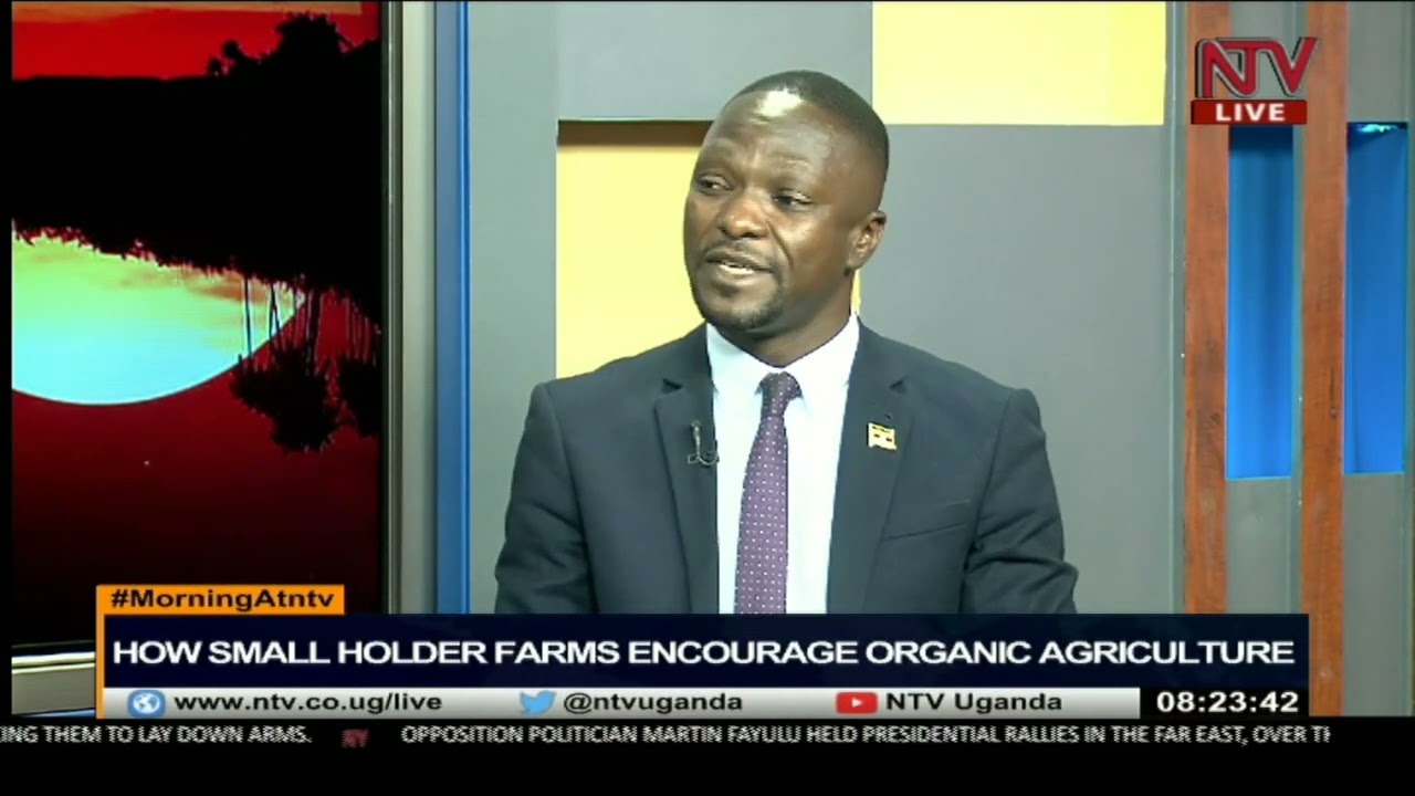 Can protecting smallholder farms encourage organic agriculture?|Morning At NTV