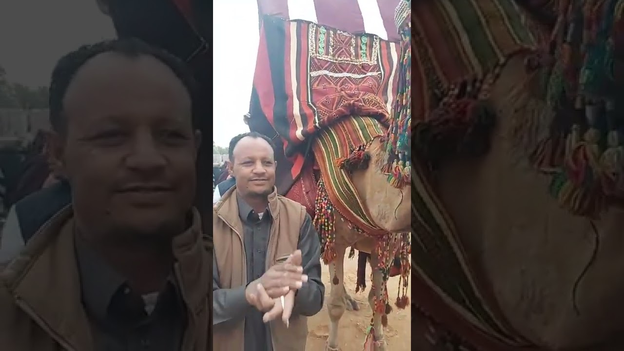 باصور المقارحة الشويرف ال قريرة