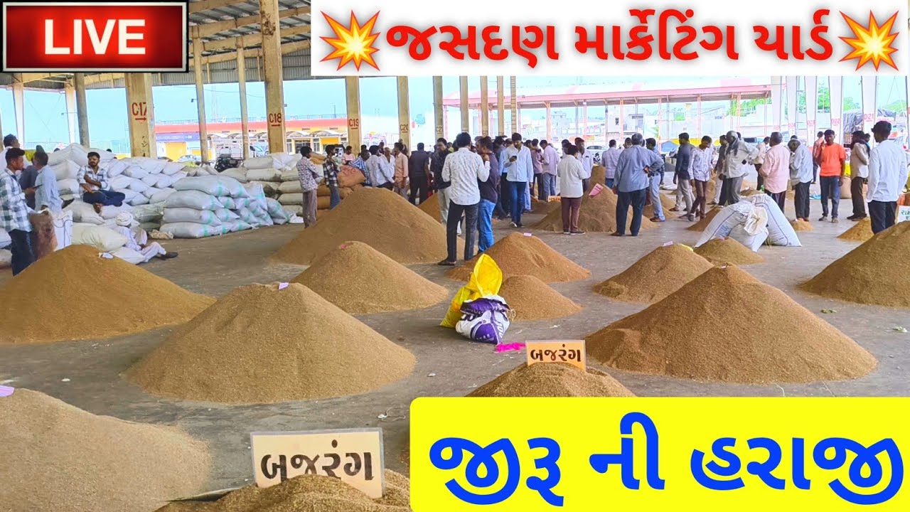 🔴live જીરૂ ના ભાવ આજના in જસદણ માર્કેટિંગ યાર્ડ, jasdan APMC market,July 23, 2025