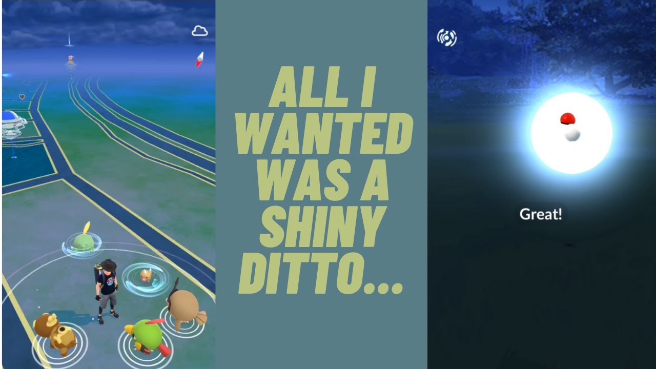 Pokemon Go - All I wanted was a shiny ditto...