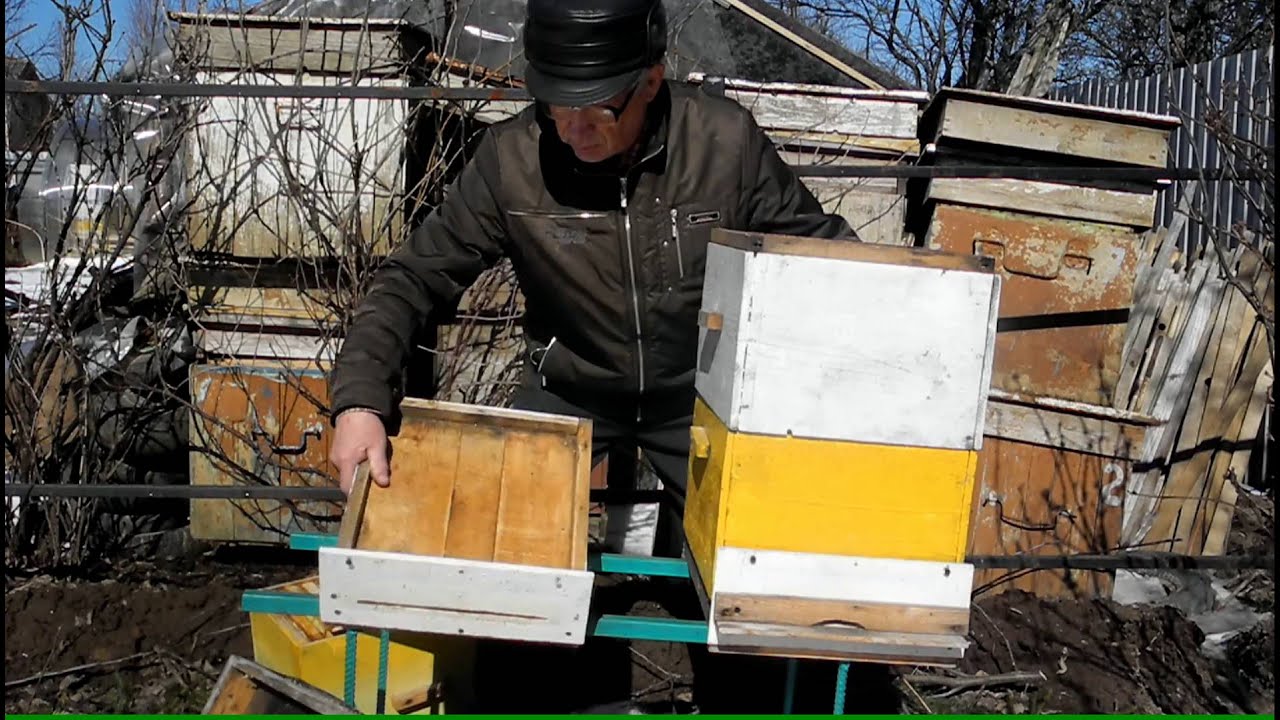 Устройство улья 