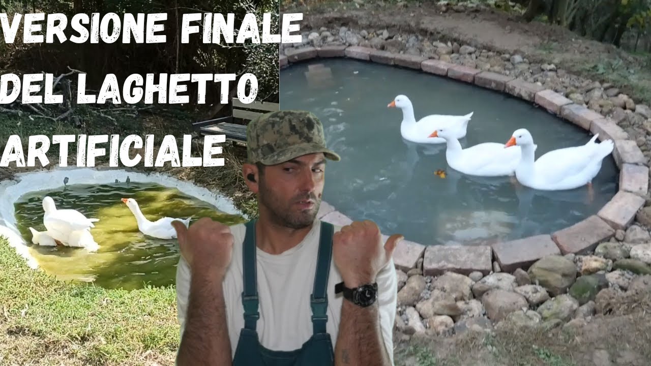 Fai Da Te: Laghetto artificiale per Oche | My Latest Version of the Artificial Pond