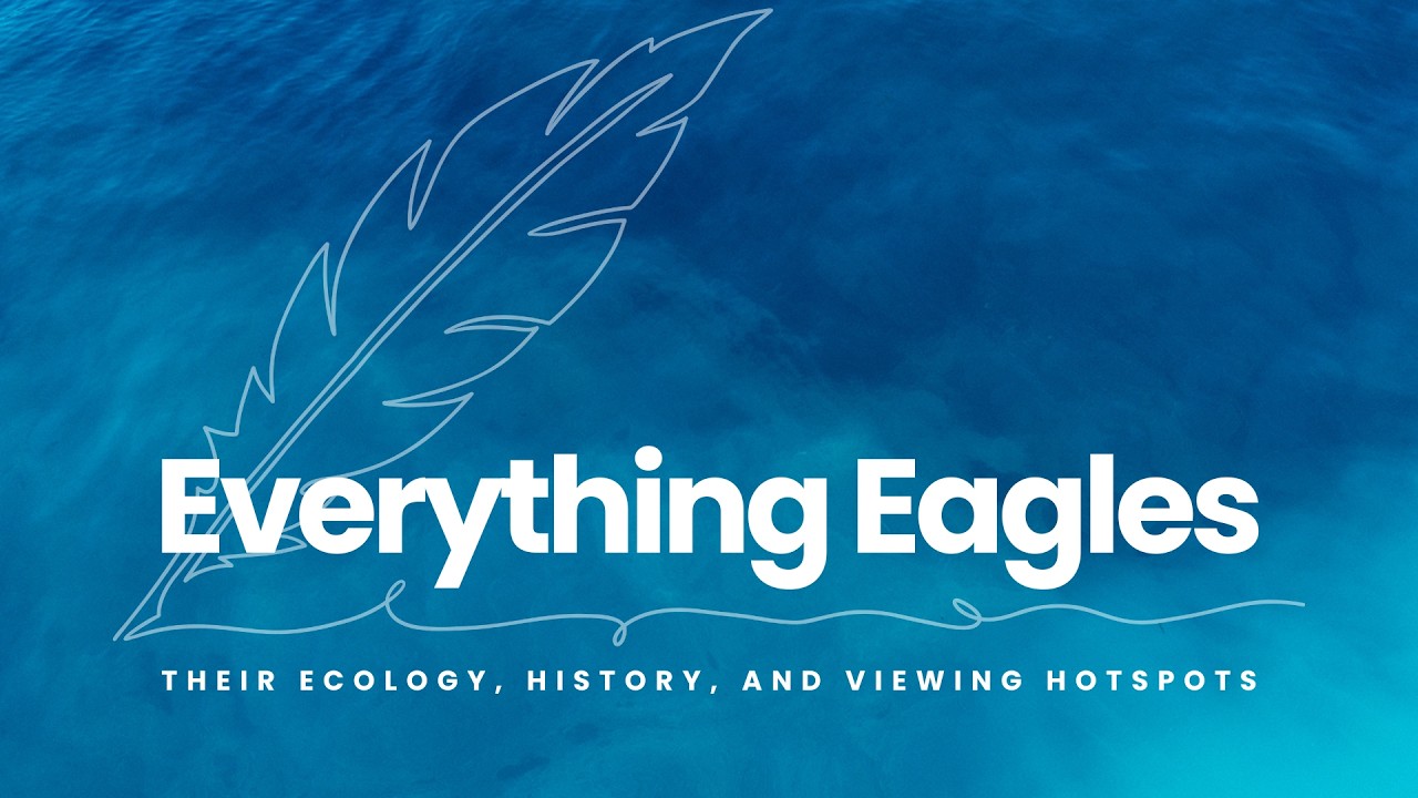 Everything Eagles: Ecology, History, and Viewing Hot Spots (Land Between the Lakes 2/7/26)