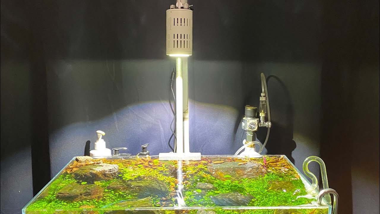 Kessil Tuna Sun A160WE White. Unboxing on UNS 60s *FRESHWATER*