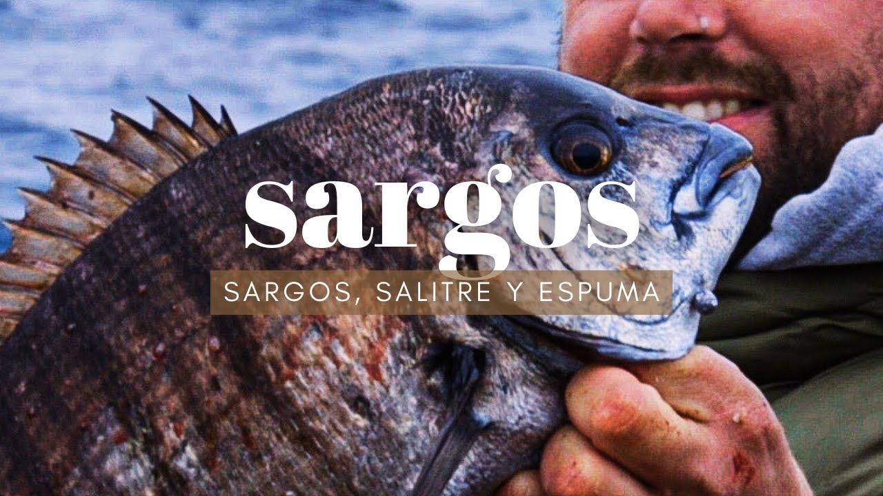 TEASER: sargos, salitre y espuma