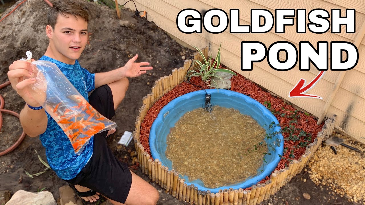 The Mini BackYard GOLDFISH Pond!!!