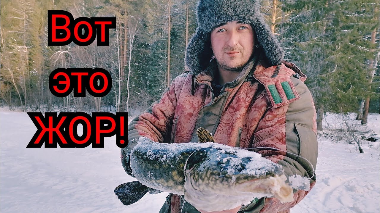 Это Жесть! Сколько там налима? На стук поклёвка за поклевкой!