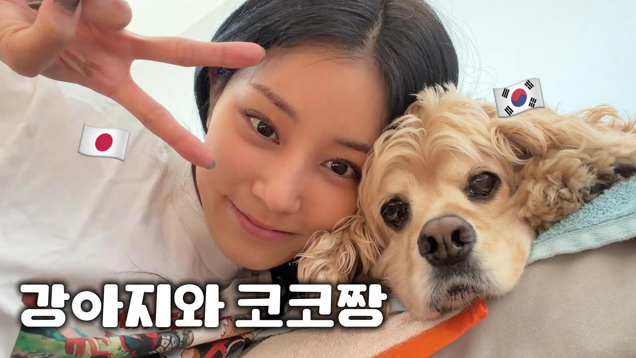 이 영상을 강아지도 볼 수 있다면 100만 뷰...✨ 일본인 아내의 강아지 무한사랑 🐾😍 [KR/JP]