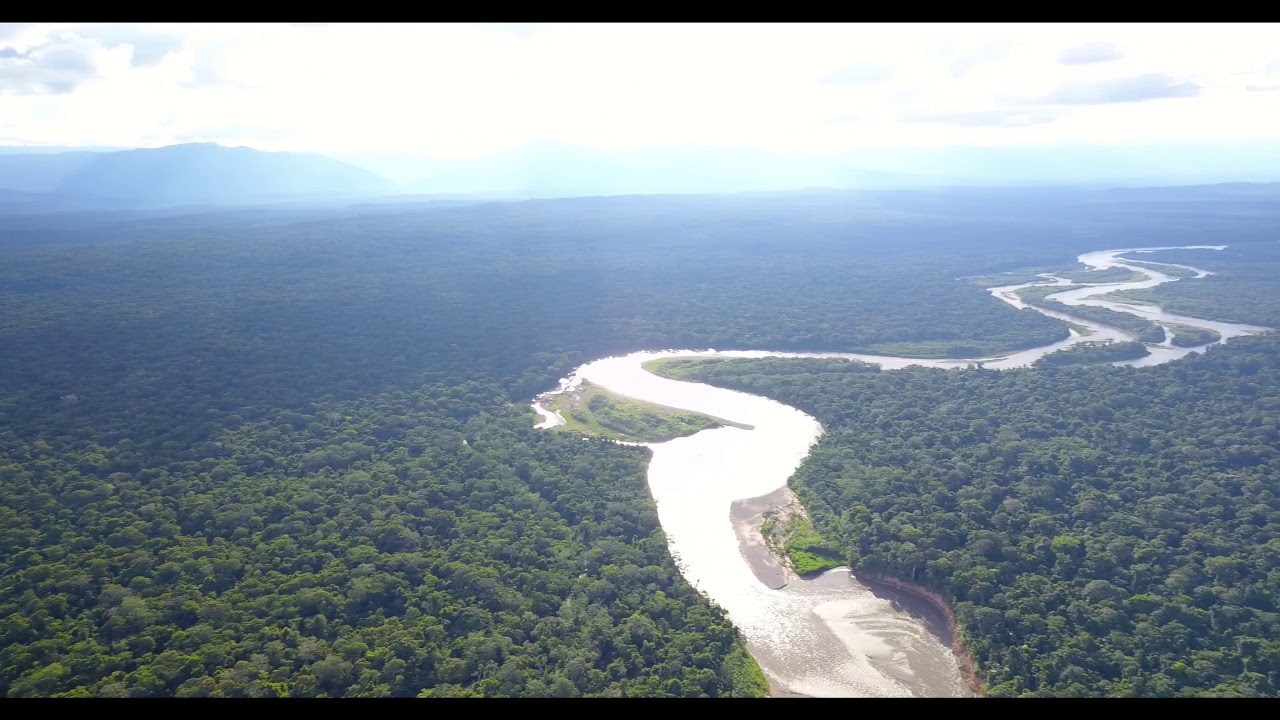 Drone flight over Madidi Jungle Ecolodge - Madidi National Park, Rurrenabaque, Beni, Boliva Amazon