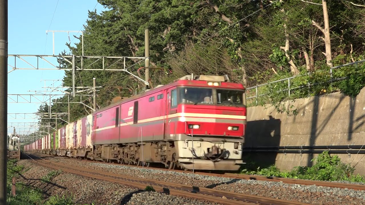 EH800貨物・キハ281系“北斗”・DF200コキ5両特発貨物 (2022.8)