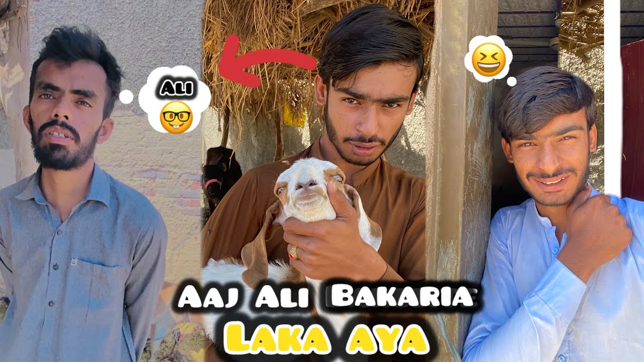 Aaj Ali bakaria laka aya 🐐🤪