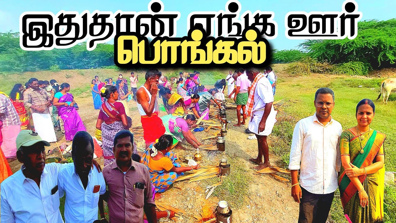 🔥💥🙏கிராம மக்களை ஒன்றிணைக்கும் இந்த மாட்டுப் பொங்கள் 2026 💥😊 | Travel Advisor 