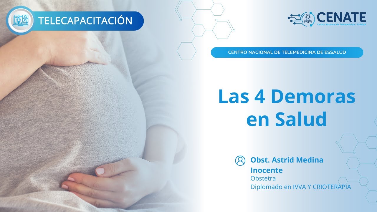 Las 4 Demoras en Salud